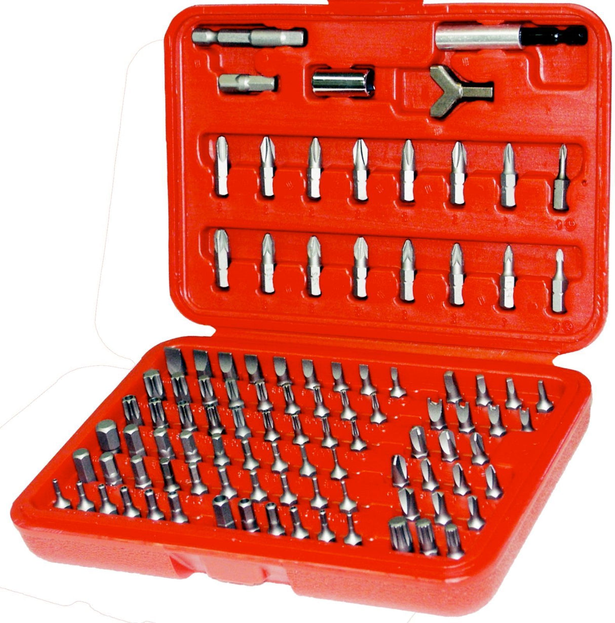 100 Piece 1/4" Hex Insert Bit Set T&E Tools T1000