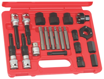 22 Piece Alternator Insert Bit Service Set T&E Tools TX2202