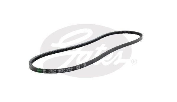 V-Belt