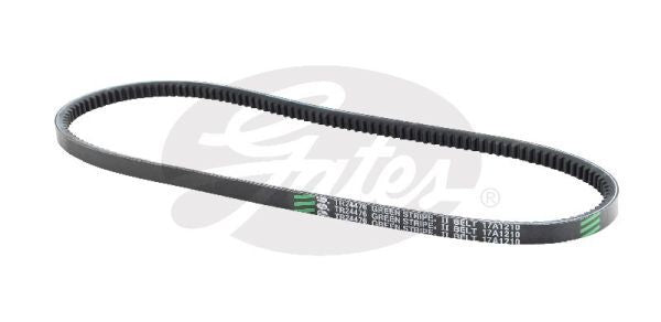 V-Belt