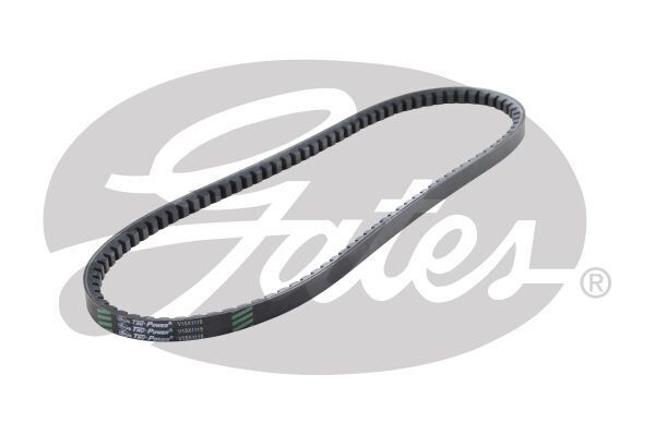 V-Belt