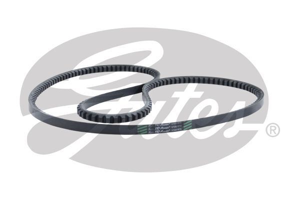 V-Belt
