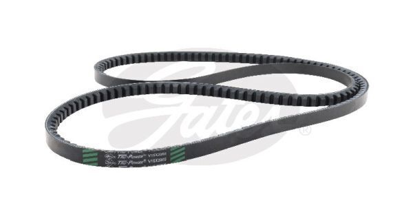 V-Belt