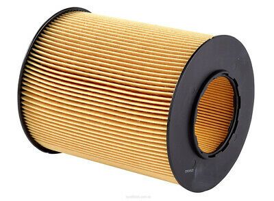 Air Filter Ryco A1673 for MERCEDES A-CLASS PEUGEOT 206