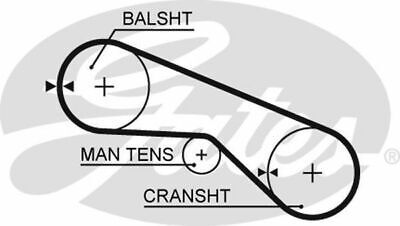 Timing Belt T280