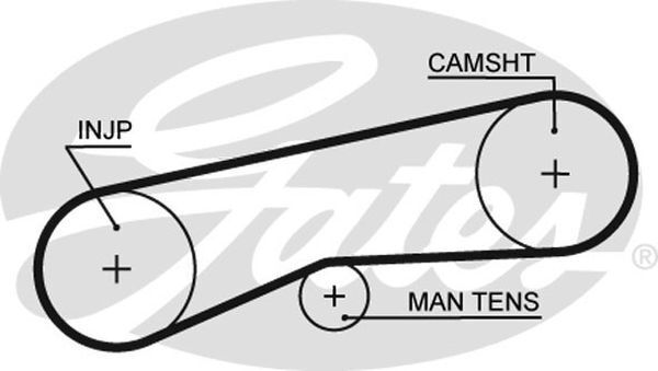 Timing Belt T884