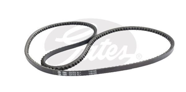 V-Belt