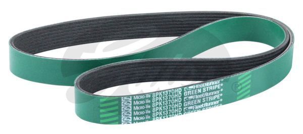 Micro V-belt Gates 8PK1370HD