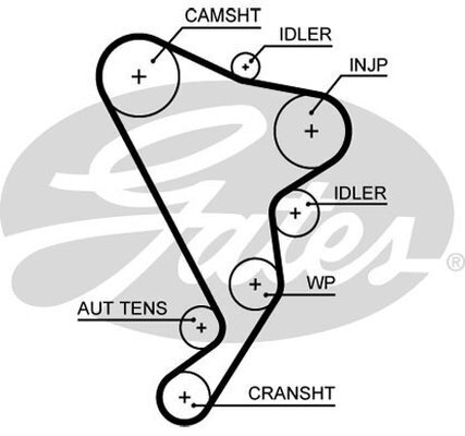 Timing Belt