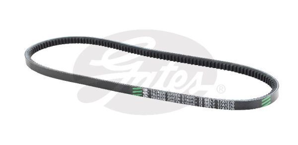 V-Belt