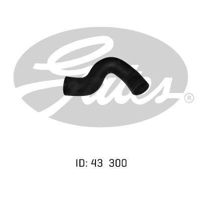 Lower Radiator Hose Gates 05-0103 for JAGUAR XJ 6 4.2L 1979-1987 PETROL