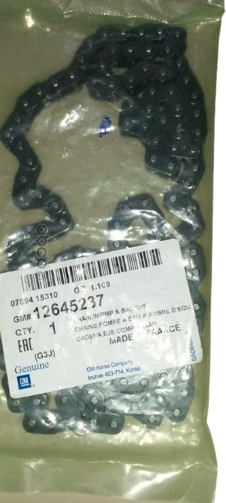 Chain Asm-W/Pmp & Balr Shf 12645237 for GM Holden