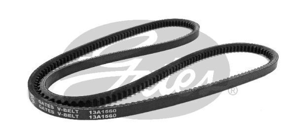 V-Fan Drive Belt Gates 13A1560 For HOLDEN