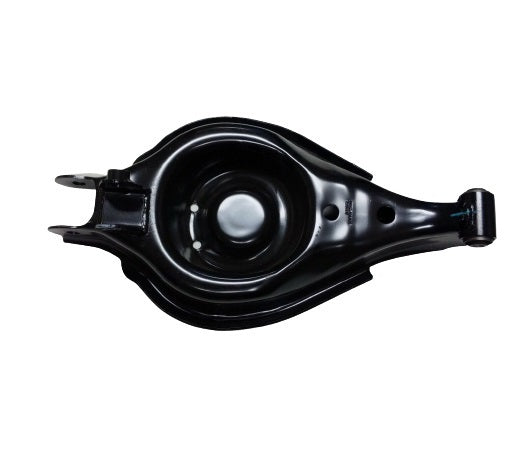 Arm Assembly-Rear Suspension Lower Control 20756281 for GM Holden