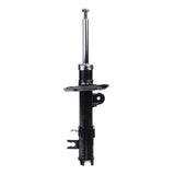 Strut - Excel-G KYB 3340214