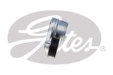 Micro V-belt