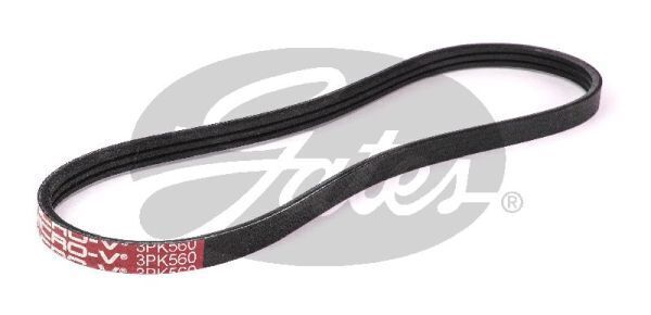 Micro V-belt Gates 3PK560