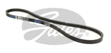 Micro-V Belt