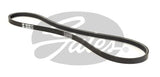 Micro V-belt Gates 3PK636SF