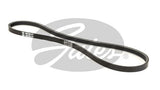 V-Ribbed Belts Gates 3PK787SF For MAZDA