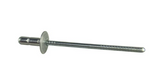 Genuine BMW Blind Rivet (52107042164)