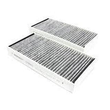 Interior Pollen Filter Microfilter Carbon CanisterV Set (64116823725) For BMW