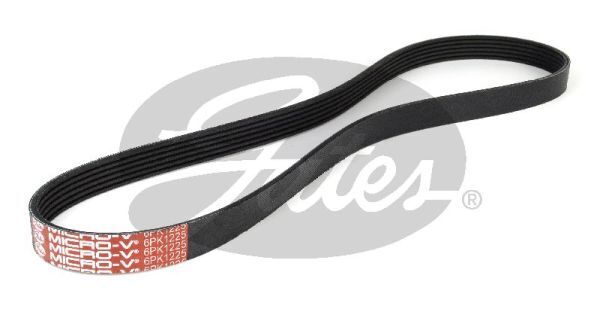 Micro V-belt Gates 6PK1225