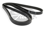 Micro-V Belt Gates 6PK2555 For FORD HYUNDAI KIA SAAB