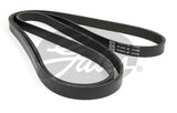 Micro V-Fan Drive Belt Gates 6PK2585 For HYUNDAI SONATA KIA CERATO MAGENTIS RONDO