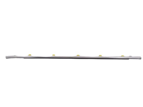 Molding Assembly Right Front Door 72410TLAA01 For Honda