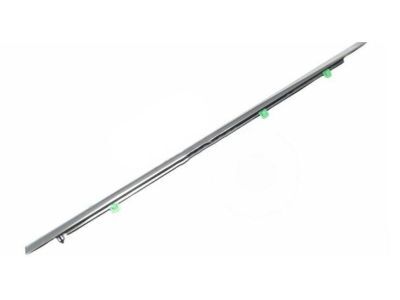 Molding Assembly Right Rear Door 72910T0AA01 For Honda