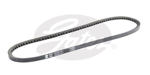 V-Belt