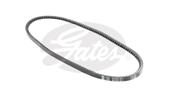 V-Belt