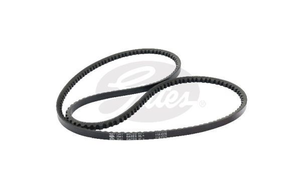 V-Belt