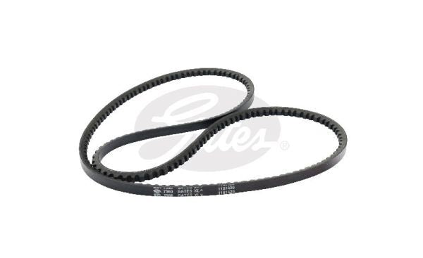 V-Belt