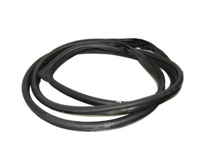 Weatherstrip-Front Door Body Side L 82110C1001TRY for Hyundai