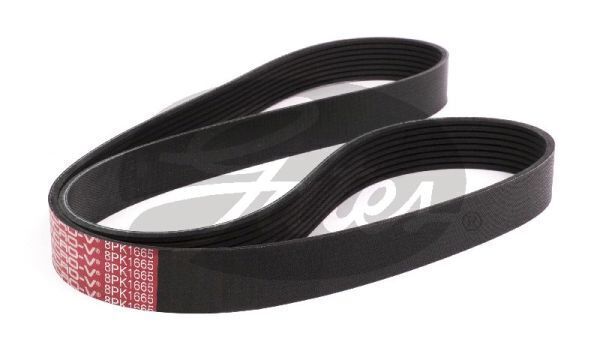Micro V-belt Gates 8PK1665