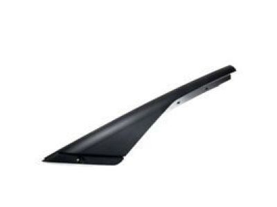 Applique Rear Side Door Window Frame Rear 92215265 for GM Holden