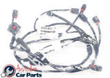 Wiring Harness Front Fog Lamp 92281733 for Holden Commodore VE SS SV6 fitted with DRL