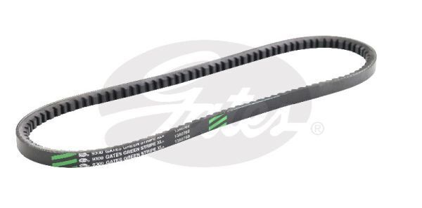 V-Belt