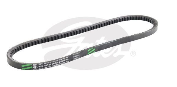 V-Belt