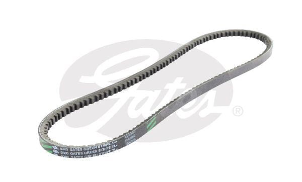 V-Belt