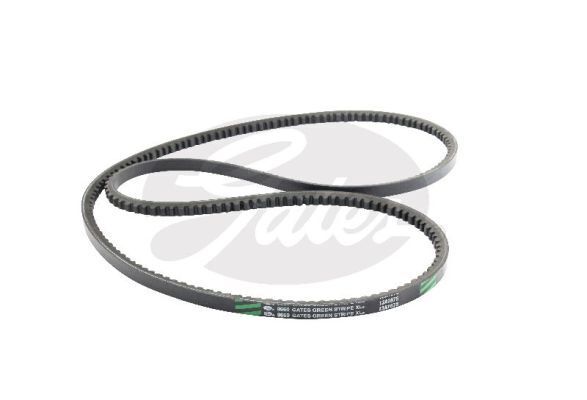 V-Belt