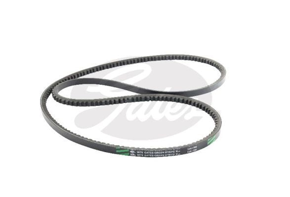 V-Belt
