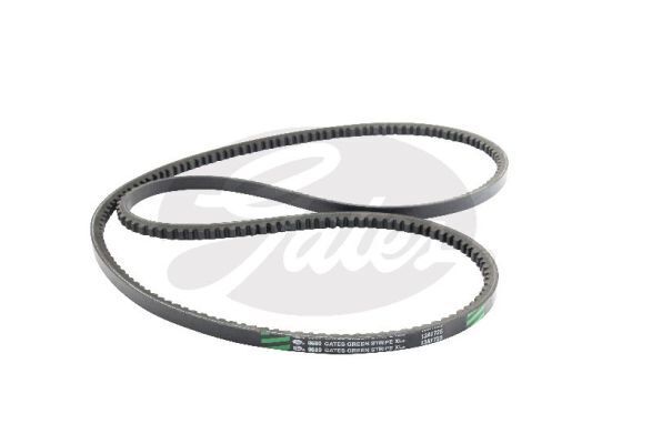 V-Belt