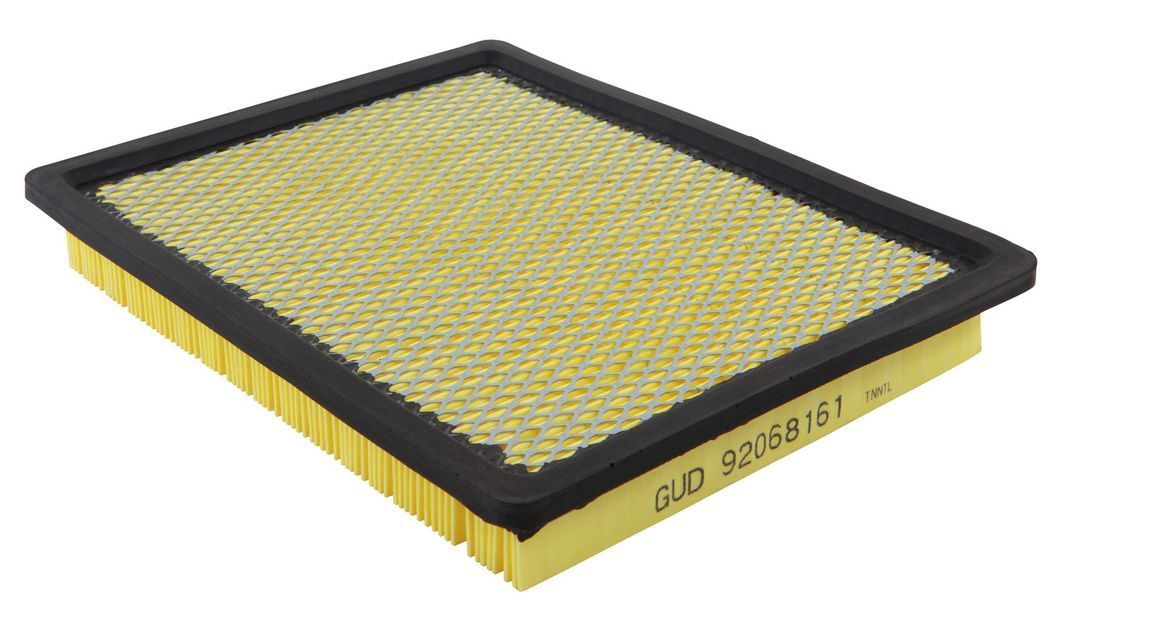 AIR FILTER GM ACDelco suitable for HOLDEN VT VX VY VZ COMMODORE V6 & V8 1997-2006 NEW