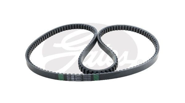 V-Belt