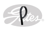 Drive Belt Gates K040373SF