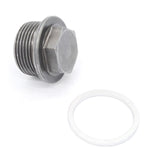 Sump Plug & Washer  for Holden Commodore VT VX VY V6 ECOTEC 19mm New Genuine Drain