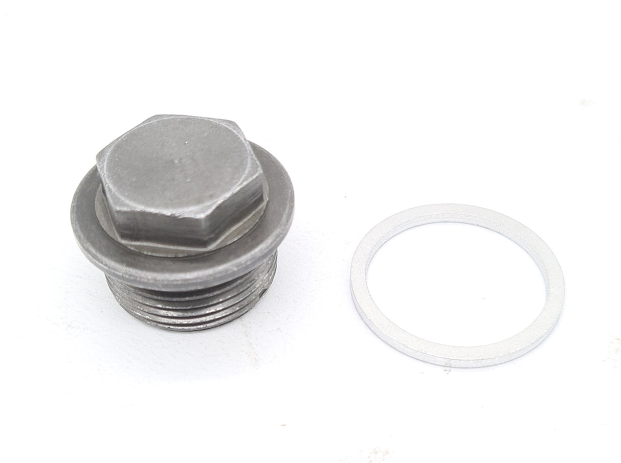 Sump Plug & Washer  for Holden Commodore VT VX VY V6 ECOTEC 19mm New Genuine Drain